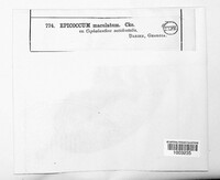 Image Associated With the Occurence